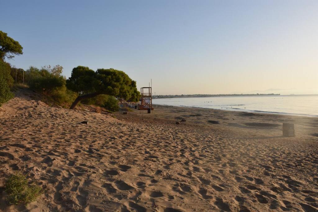 Seashell Apartment -Near The Beach Artemida  Zewnętrze zdjęcie